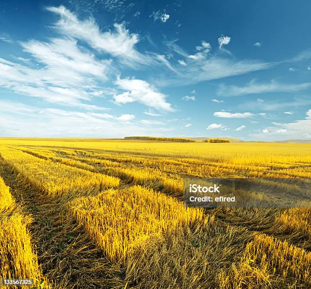 Autumn Landscape Stock Photo - Download Image Now - Agriculture, Autumn, Blue