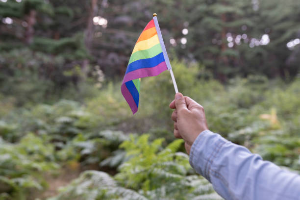 istock hand holding a rainbow colored lgbt flag in nature 1335673627