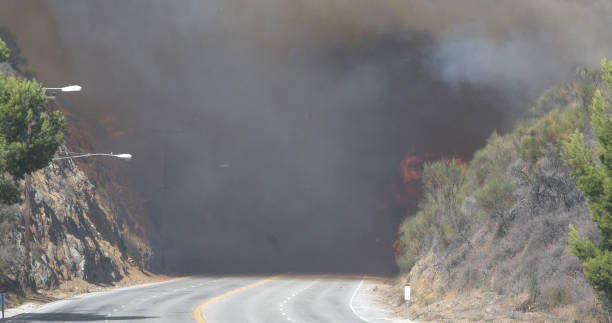 istock Woolsey Fire, Malibu California Post fire Burnt Mountains 1335681803