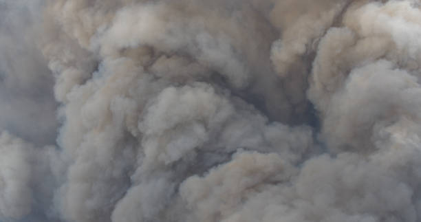istock Woolsey Fire, Malibu California Post fire Burnt Mountains 1335681848