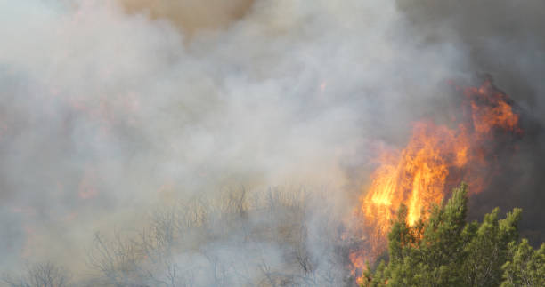 istock Woolsey Fire, Malibu California Post fire Burnt Mountains 1335681924