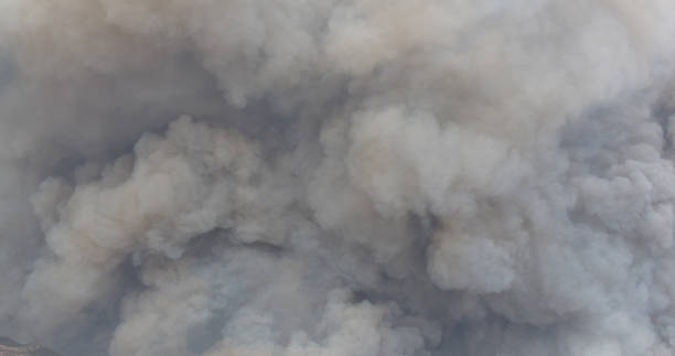 istock Woolsey Fire, Malibu California Post fire Burnt Mountains 1335681997