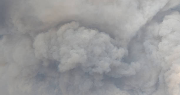 istock Woolsey Fire, Malibu California Post fire Burnt Mountains 1335682533