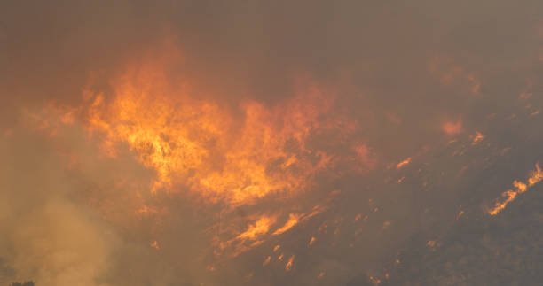 istock Woolsey Fire, Malibu California Post fire Burnt Mountains 1335682687
