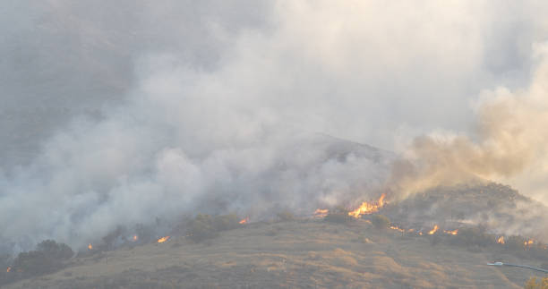 istock Woolsey Fire, Malibu California Post fire Burnt Mountains 1335682699