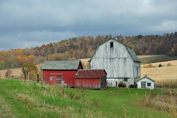 istock Barn in western Washington 133568318