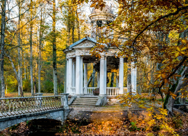 istock Autumnal colors in old abandoned park 1335684059