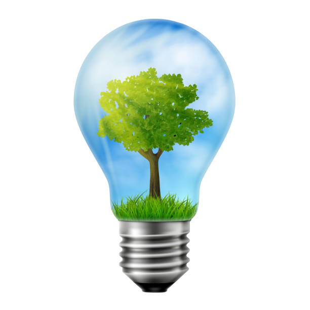 istock Green tree is growing inside a light bulb, ecology concept, Concept of green energy. Vector 3D realistic illustration. 1335686920