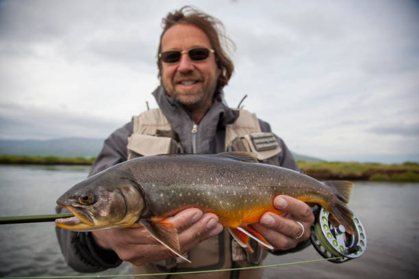 istock Fly fisherman fly fishing on a splendid river 1335687865
