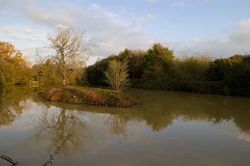 fishing lake in the early morning light with reflected trees and a blue sky and clouds in the background