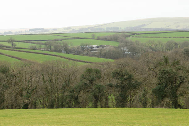 istock Dartmoor National Park 1335688842