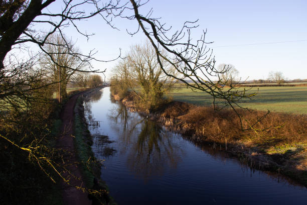 istock canal in the  morning 1335690080