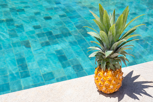 Ripe pineapple on the background of the pool on a sunny day