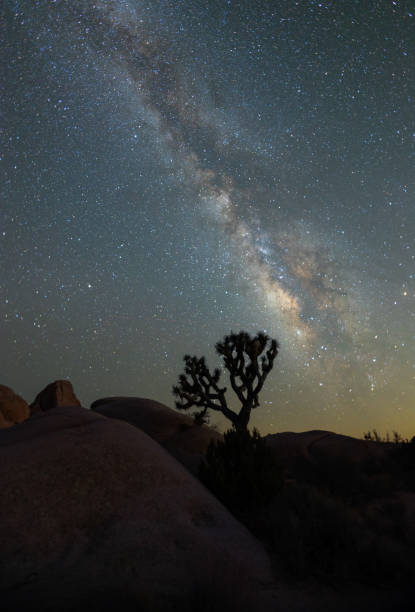 istock Milky way over Joshua Tree National Park 1335693929
