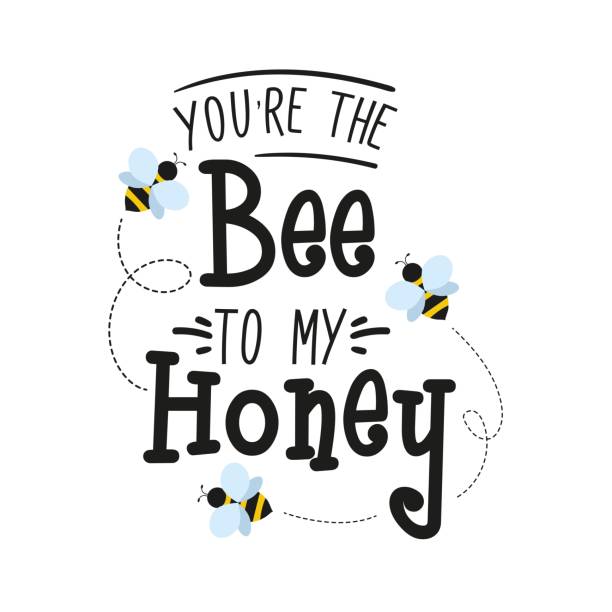 You're the bee to my honey lovely design in hand drawn style You're the bee to my honey lovely design in hand drawn style. Bee summer quote for greeting card, poster, print or textile. Flat style flying bees on white background. Bee saying vector illustration youre beautiful quotes stock illustrations