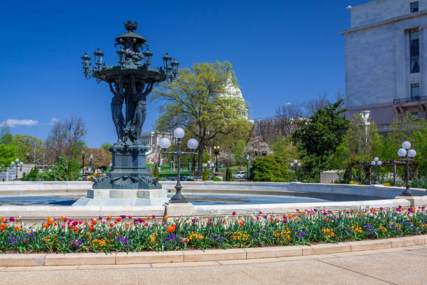 istock Fountain on Capitol Hill with Blue Sky and Clouds, Washington DC, USA. 1335698192