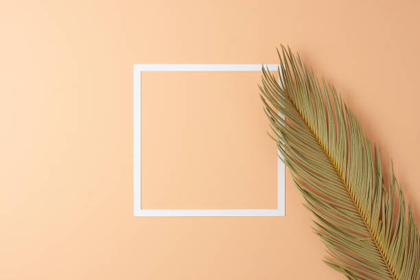 istock Cosmetic background with white frame and palm leaf on pastel beige. Flat lay, copy space 1335698662