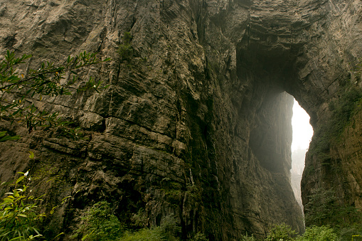 Natural Tunnel of Love on the railway. Natural miracle - the tunnel of love in Ukraine. The trees have created a tunnel around the railroad.