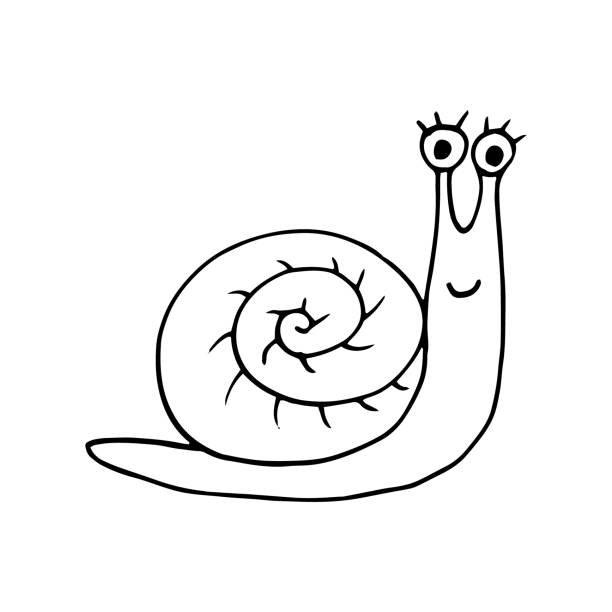 159 Slow Moving Animals Pictures Illustrations & Clip Art - iStock 159 Slow Moving Animals Pictures Illustrations & Clip Art - iStock