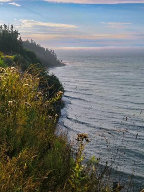 istock Ethereal Sunset at the Salish Sea 1335709135