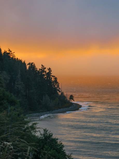 istock Ethereal Sunset at the Salish Sea 1335709153