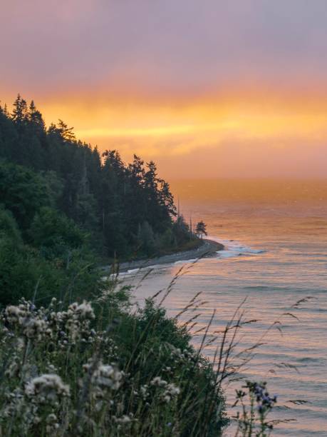 istock Ethereal Sunset at the Salish Sea 1335709154