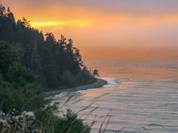 Ethereal Sunset at the Salish Sea