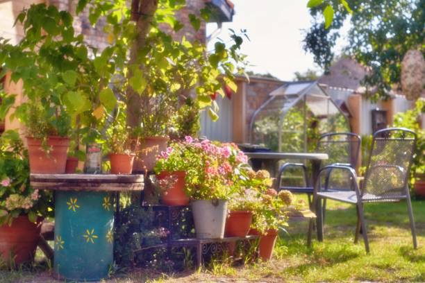 istock Beautiful garden 1335709195