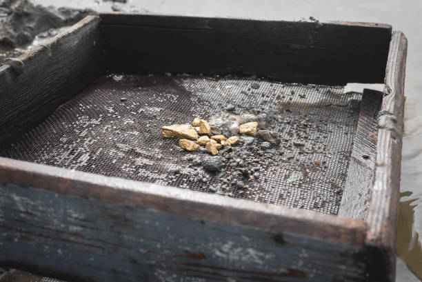 Gold mining concept. Golden ore in the dirty metal grid in the river water. Sifting gold concept. gold mining panning stock pictures, royalty-free photos & images