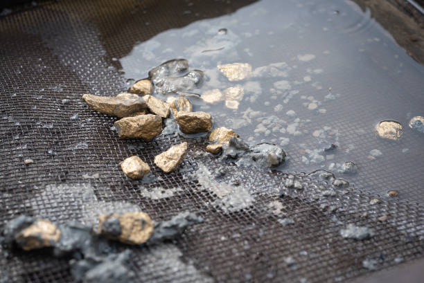 concepto de minería de oro. - panning fotografías e imágenes de stock