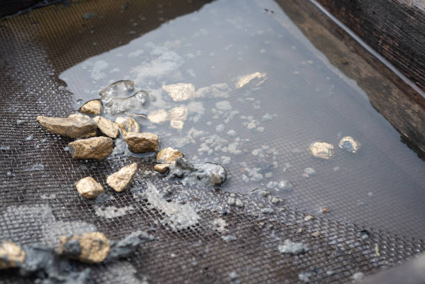 Gold mining concept. Golden ore in the dirty metal grid in the river water. Sifting gold concept. gold mining panning stock pictures, royalty-free photos & images