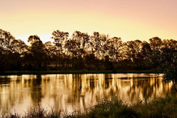 istock River in shiny gold, Brisbane sunset 1335720552
