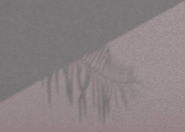 istock Abstract background of shadows palm leaves on a wall. 3d rendering. 1335722243