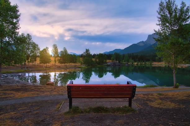 istock Bench Looking Out Over A Summer Quarry Lake 1335728317