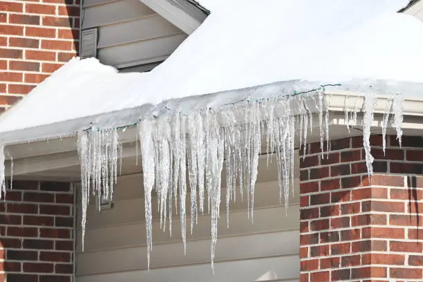 Photo of Icicles from the Roof