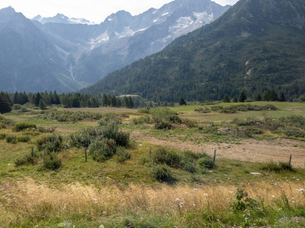 istock Pasture in the mountains 1335752360