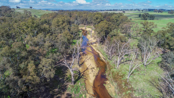 istock Lake Eppalock Tributary Aerial 1335759540