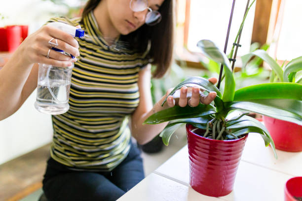 istock Young girl working at the table in the home garden 1335760607