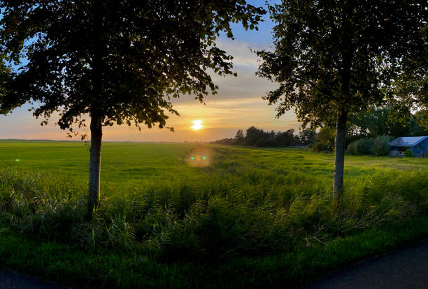 istock Sunset over Friesland 1335765137