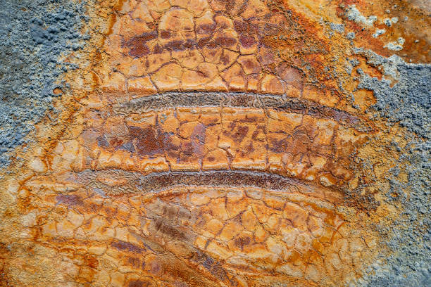 istock Rusty wheel tracks in dried pool mud, colorful texture of abandoned mine 1335766562