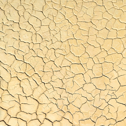 Surface of dried lake bed with cracks in mud. Natural background