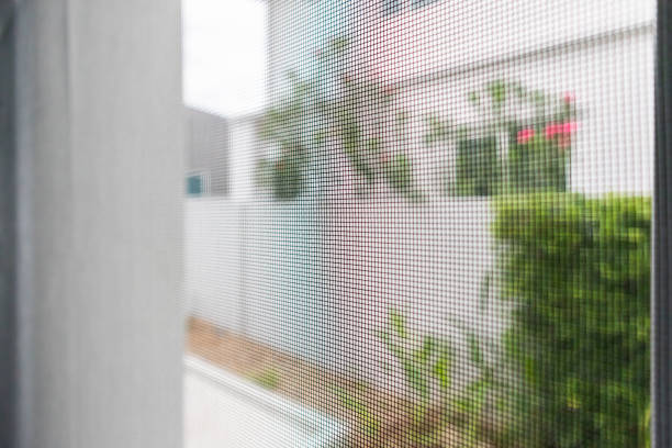 istock mosquito net wire screen on house window protection against insect 1335774489