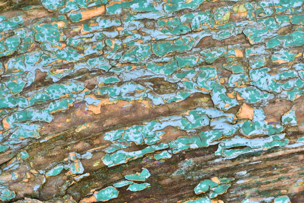 istock The background wood, painted with old peeling paint 1335774857