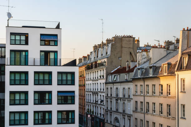 istock Rooftop of Paris 1335779435