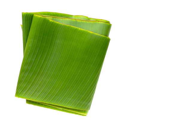 istock Roll of banana leaves on white background. 1335780881