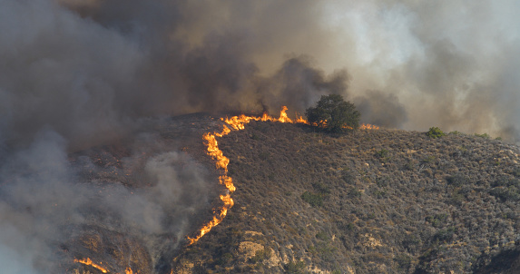 Woolsey Fire, Malibu California Post fire Burnt Mountains