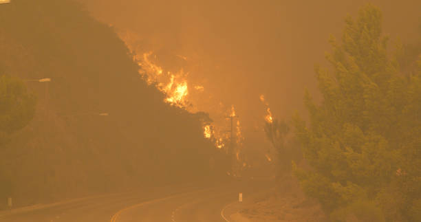 istock Woolsey Fire, Malibu California Post fire Burnt Mountains 1335783280
