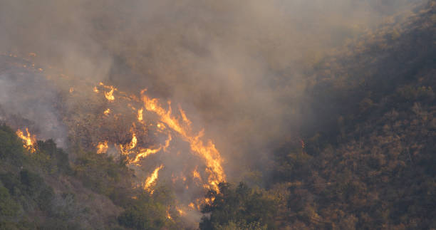 istock Woolsey Fire, Malibu California Post fire Burnt Mountains 1335783281