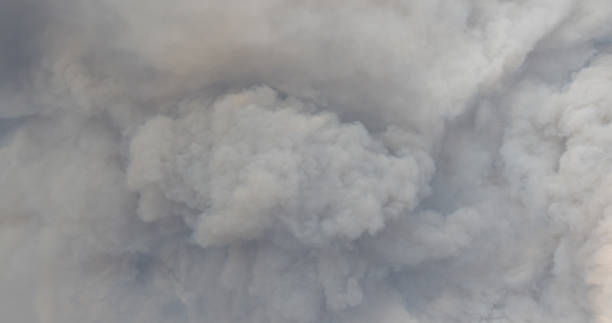 istock Woolsey Fire, Malibu California Post fire Burnt Mountains 1335783296