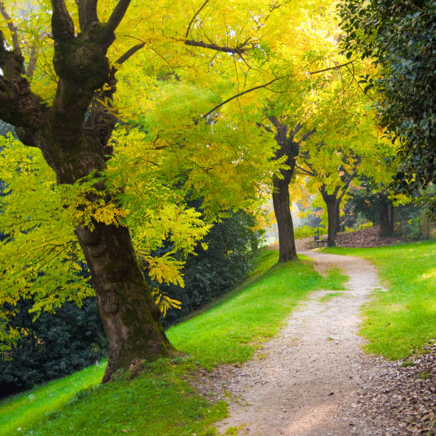 istock Public Park, Warm Autumn Colors 133578977